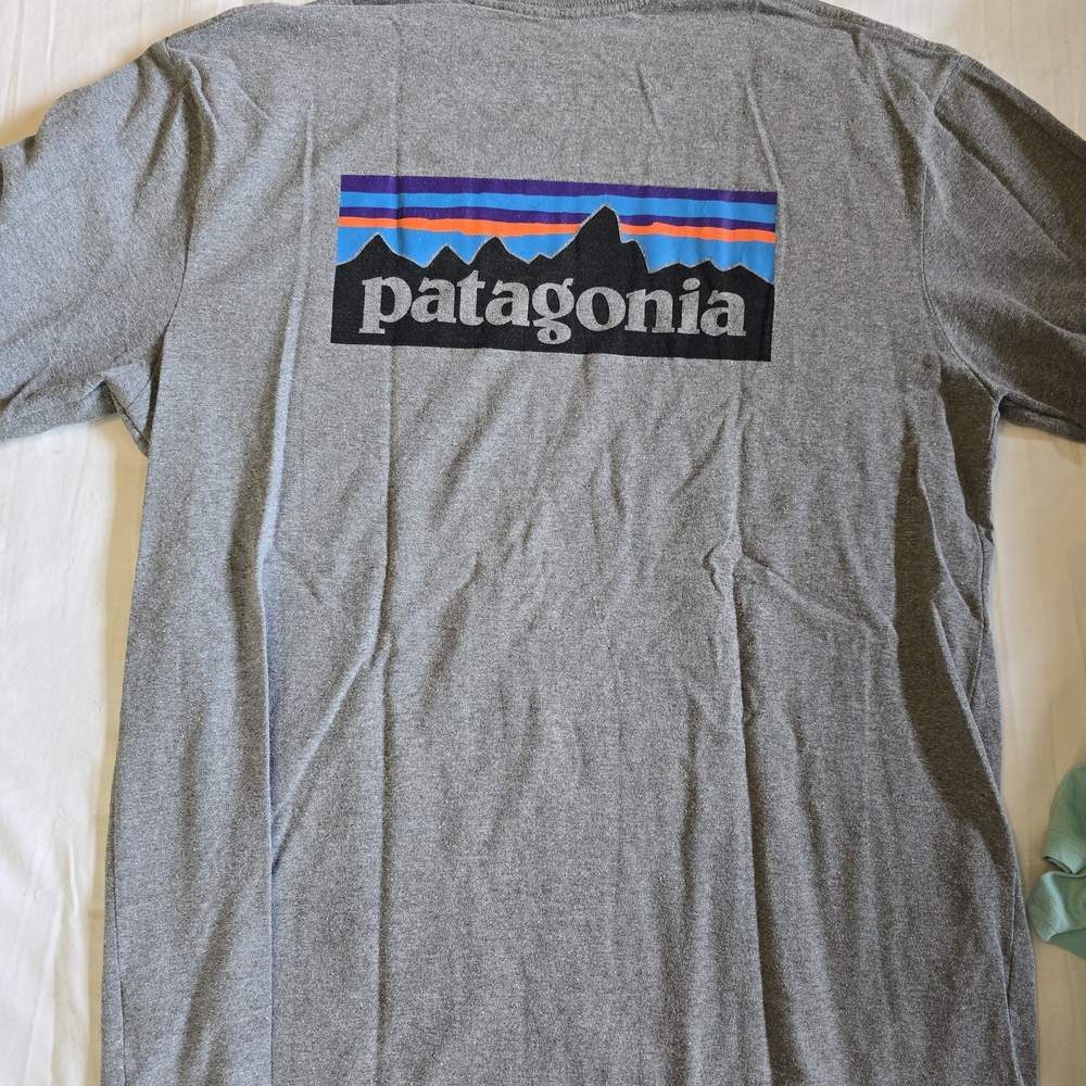 Patagonia Gray T-Shirt with Colorful Logo